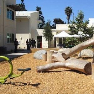 Natural Playground