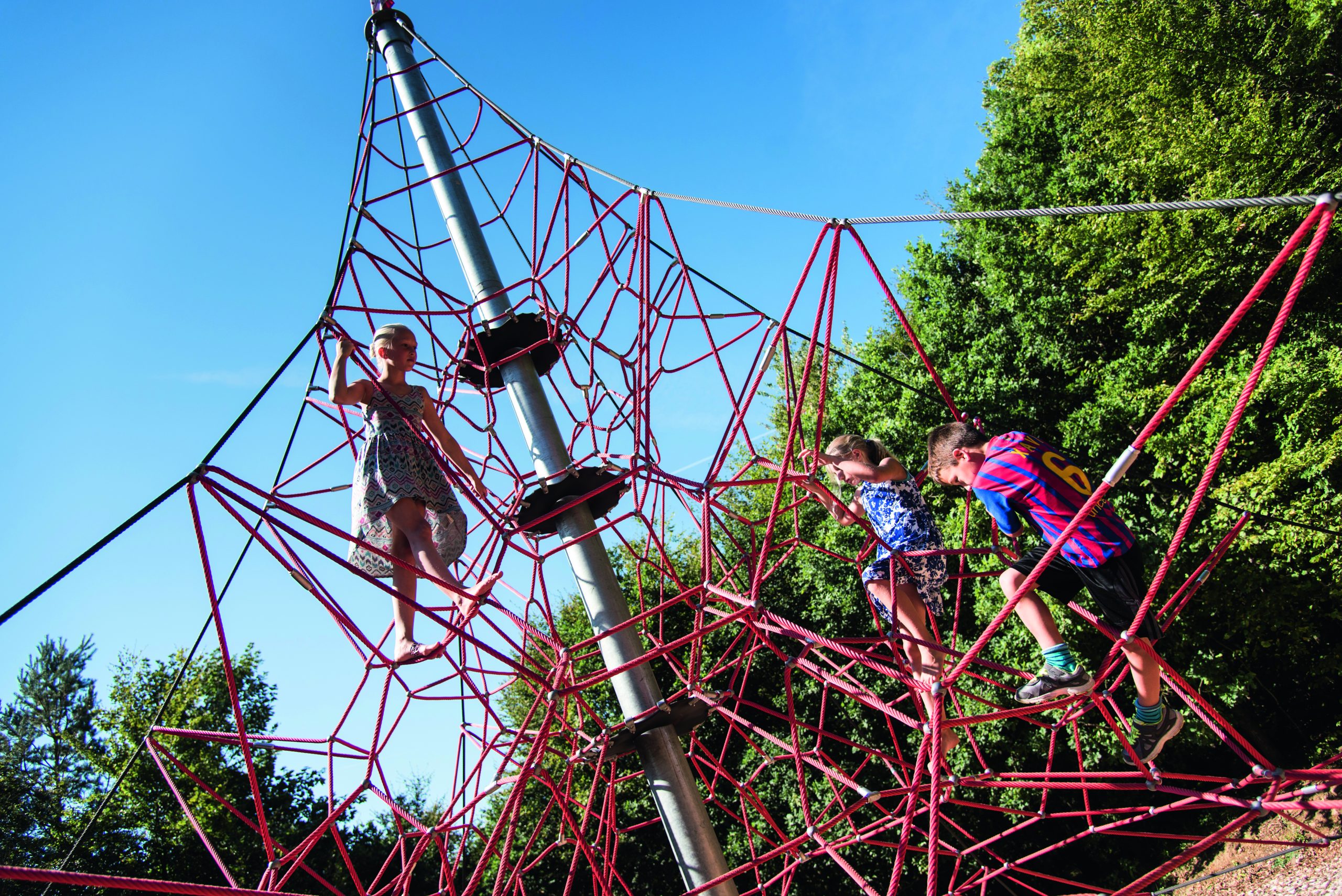 Spider Climber 8-6 - Image 2